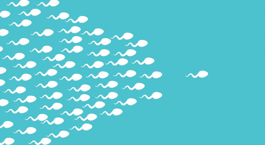 Do Antioxidants actually help sperm count